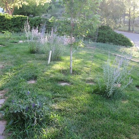 Mystic Portal 420 Guesthouse Colorado Springs Extérieur photo